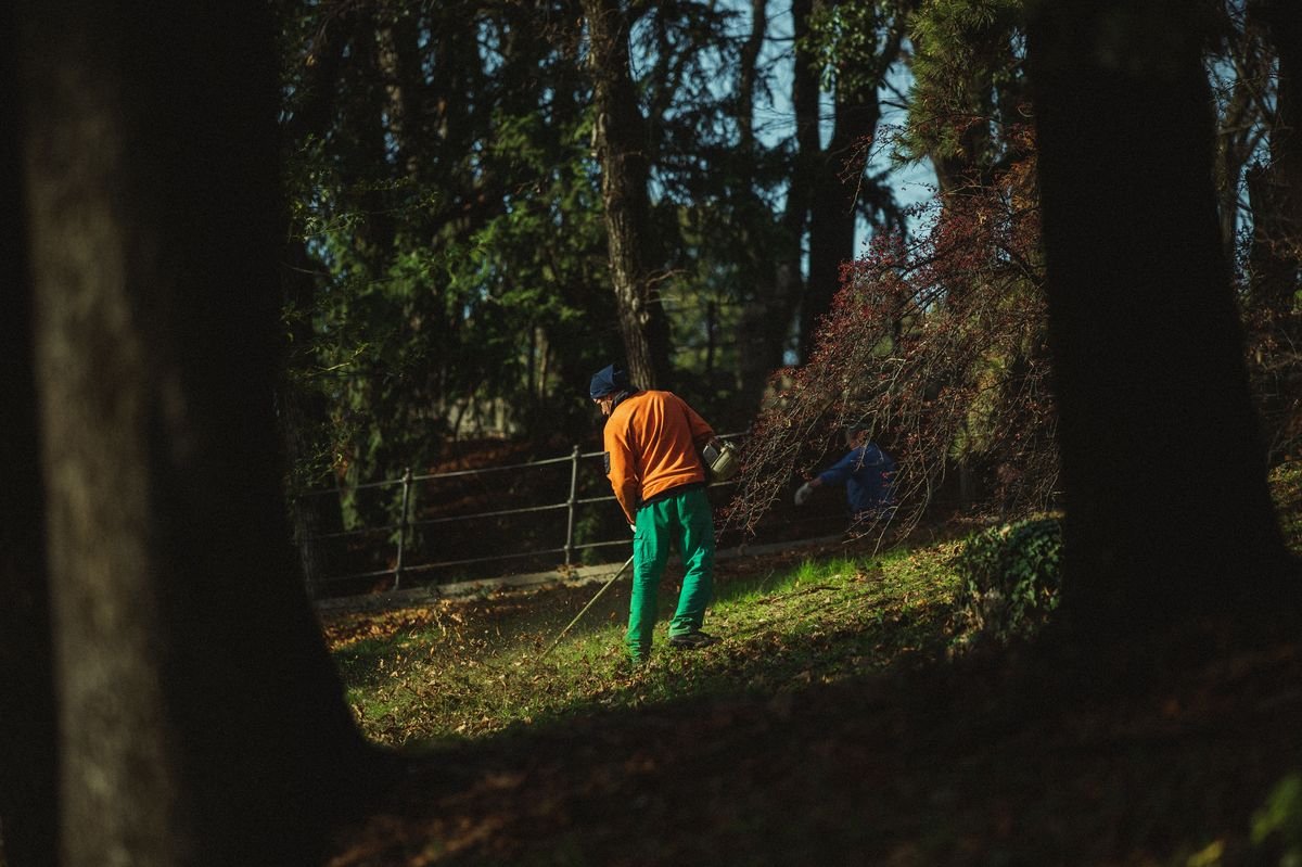 Can You Mulch Over Leaves in Your Garden