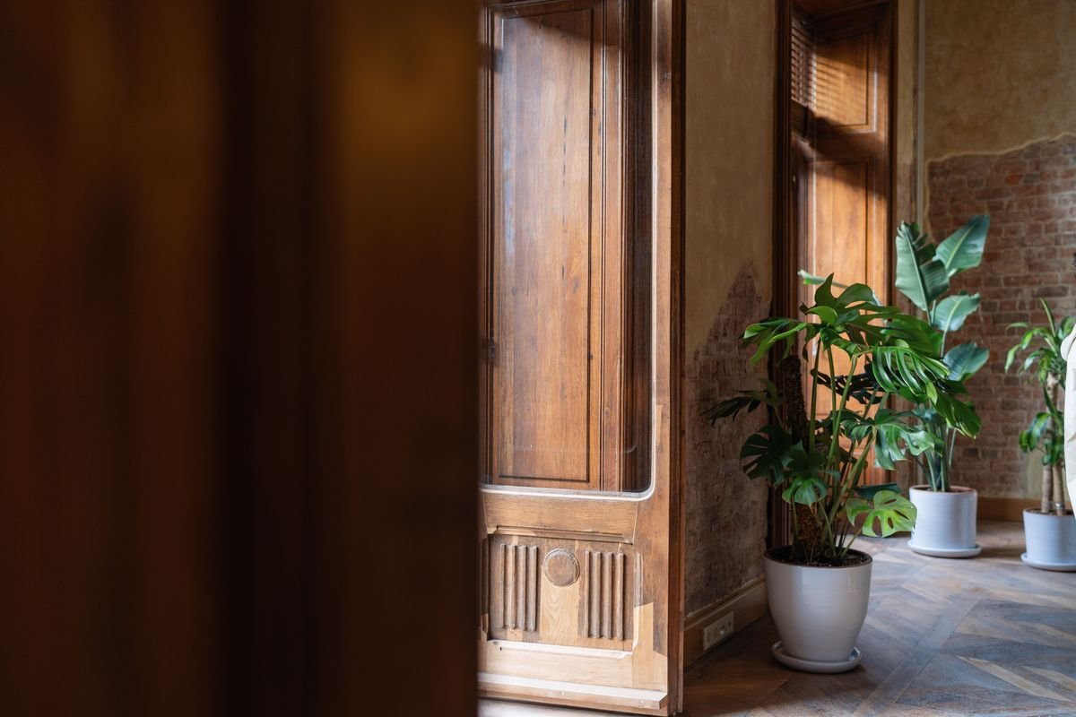 Complete Monstera Care Guide for Thriving Indoor Plants