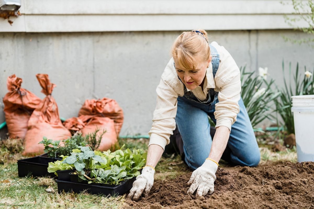 Difference Between Soil and Compost and How to Use Each