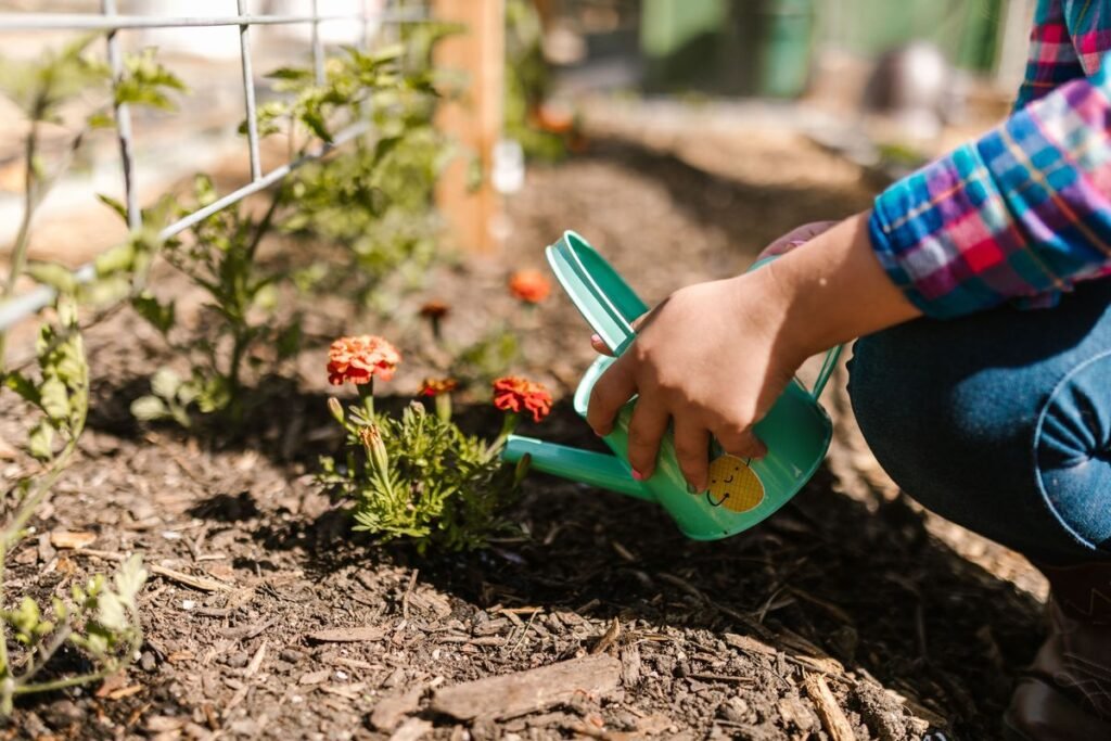 Can You Plant Flowers in Mulch and Keep Them Healthy Can You Plant Flowers in Mulch and Keep Them Healthy