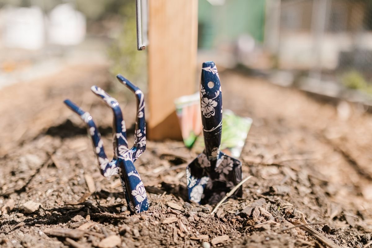 Why Garden Mulch Gets Moldy and How to Fix It