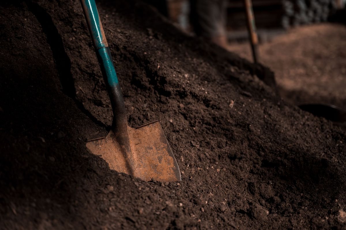 Simple Gardening Hacks That Will Save You Hundreds of Dollars