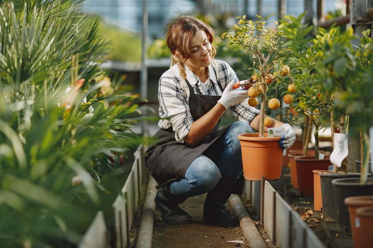 How to Grow Sweet and Juicy Backyard Peaches