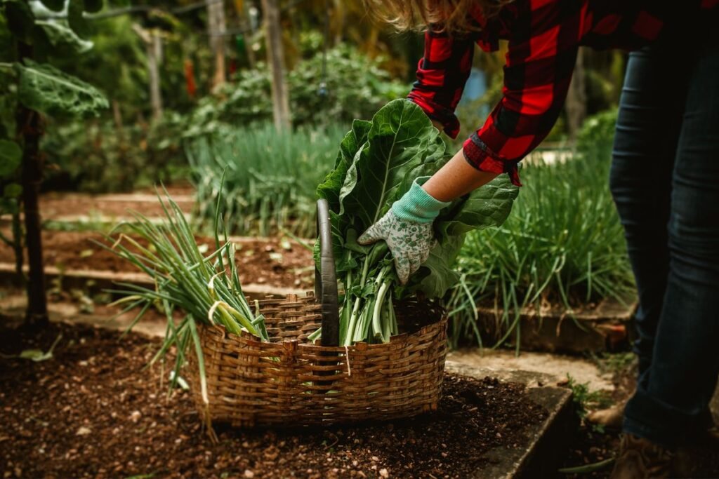 How to Add Calcium to Soil and Fix Deficiencies How to Add Calcium to Soil and Fix Deficiencies