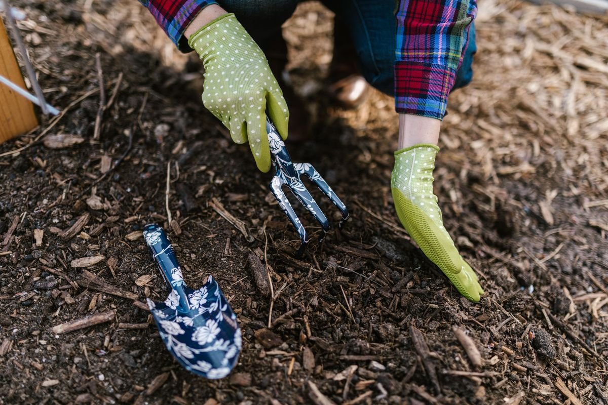 When to Apply Mulch for a Thriving and Healthy Garden