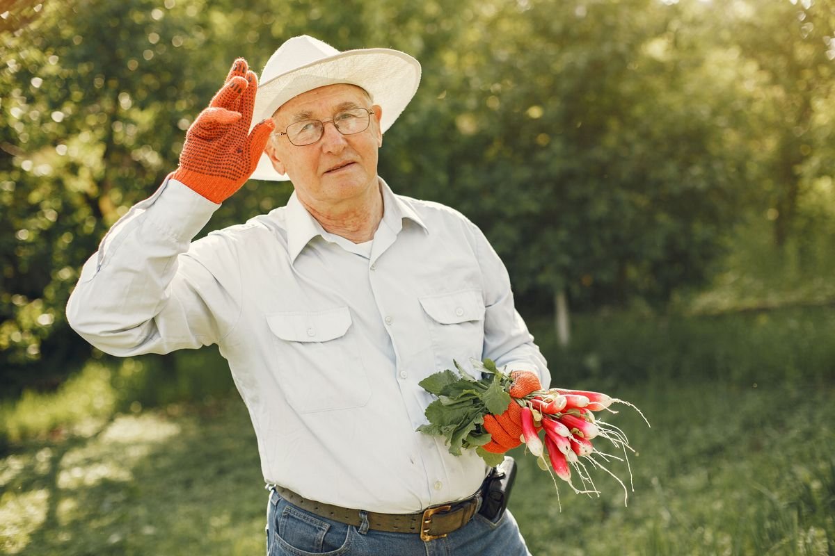 Smart Succession Planting Tips for a Continuous Garden Harvest
