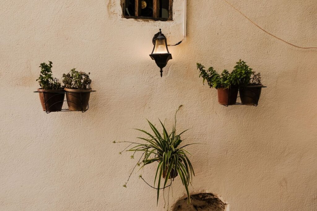 Why Spider Plant Babies Are Dying and How to Save Them Why Spider Plant Babies Are Dying and How to Save Them