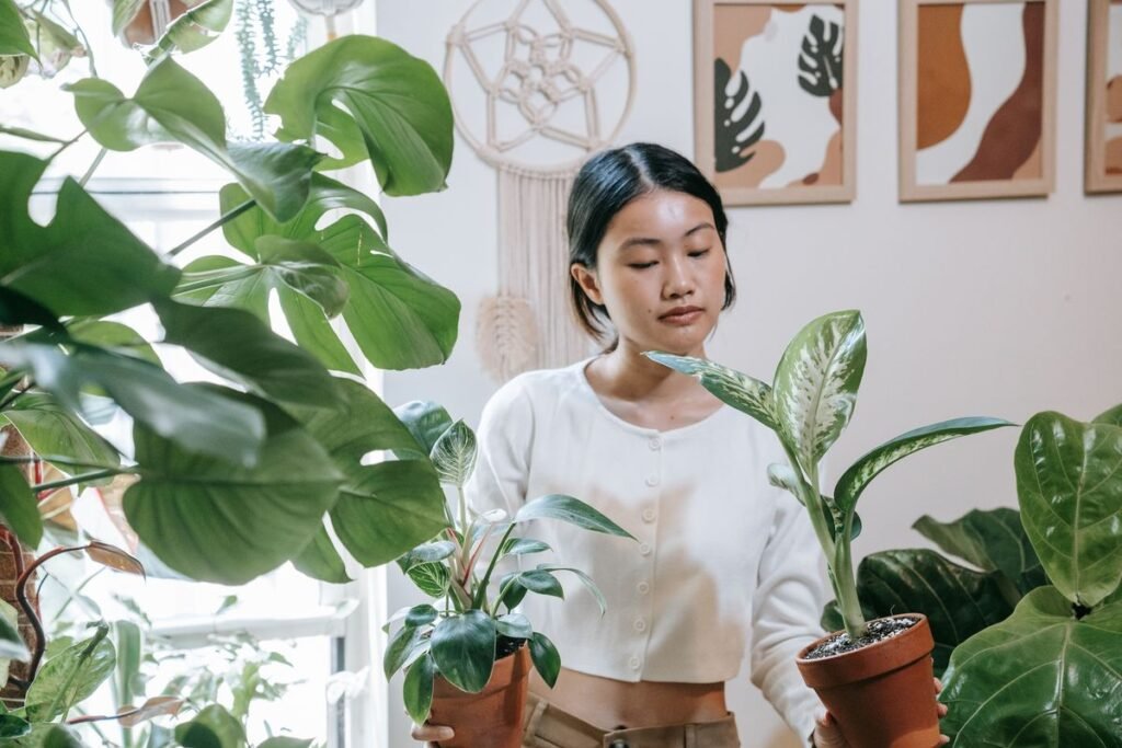 Why Is My Dieffenbachia Wilting and How to Fix It