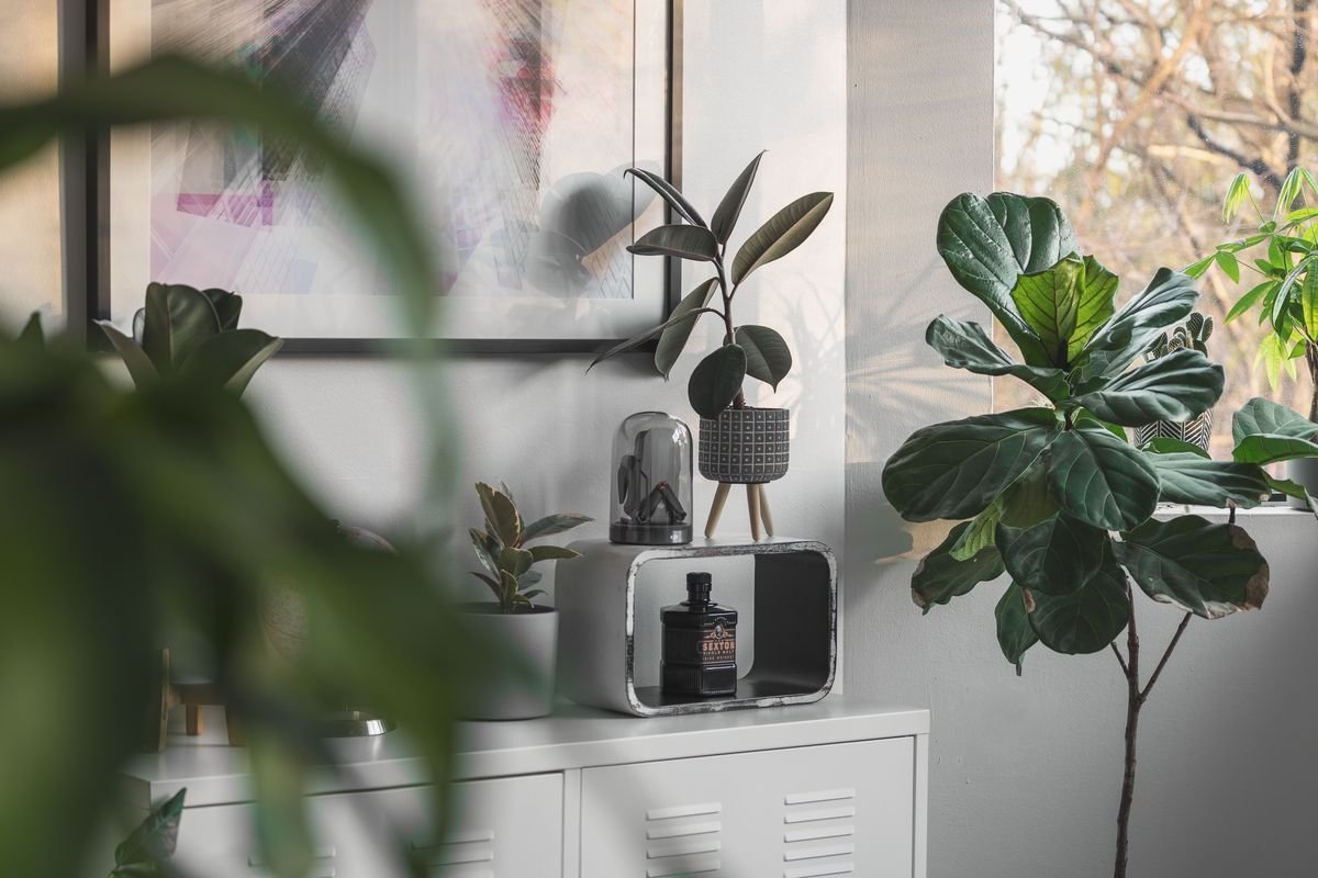Can Rabbits Eat Pothos Plants and How to Keep Them Safe