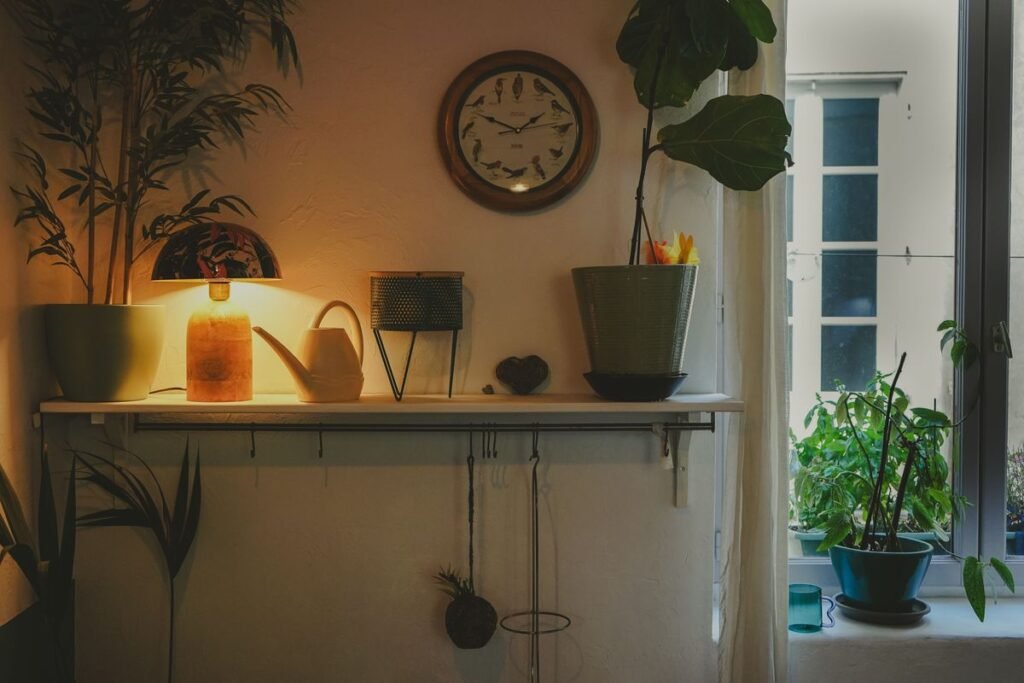 Do Plants Need Darkness to Grow and Stay Healthy Do Plants Need Darkness to Grow and Stay Healthy