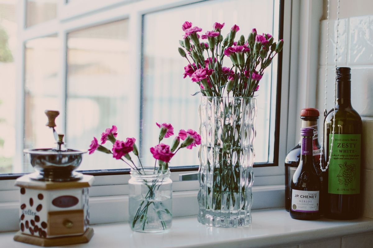 How to Deadhead African Violets to Keep Them Blooming