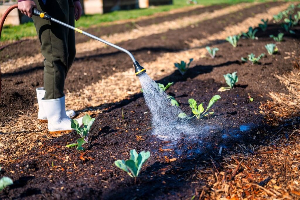 Can You Mulch a Vegetable Garden and How to Do It Right Can You Mulch a Vegetable Garden and How to Do It Right
