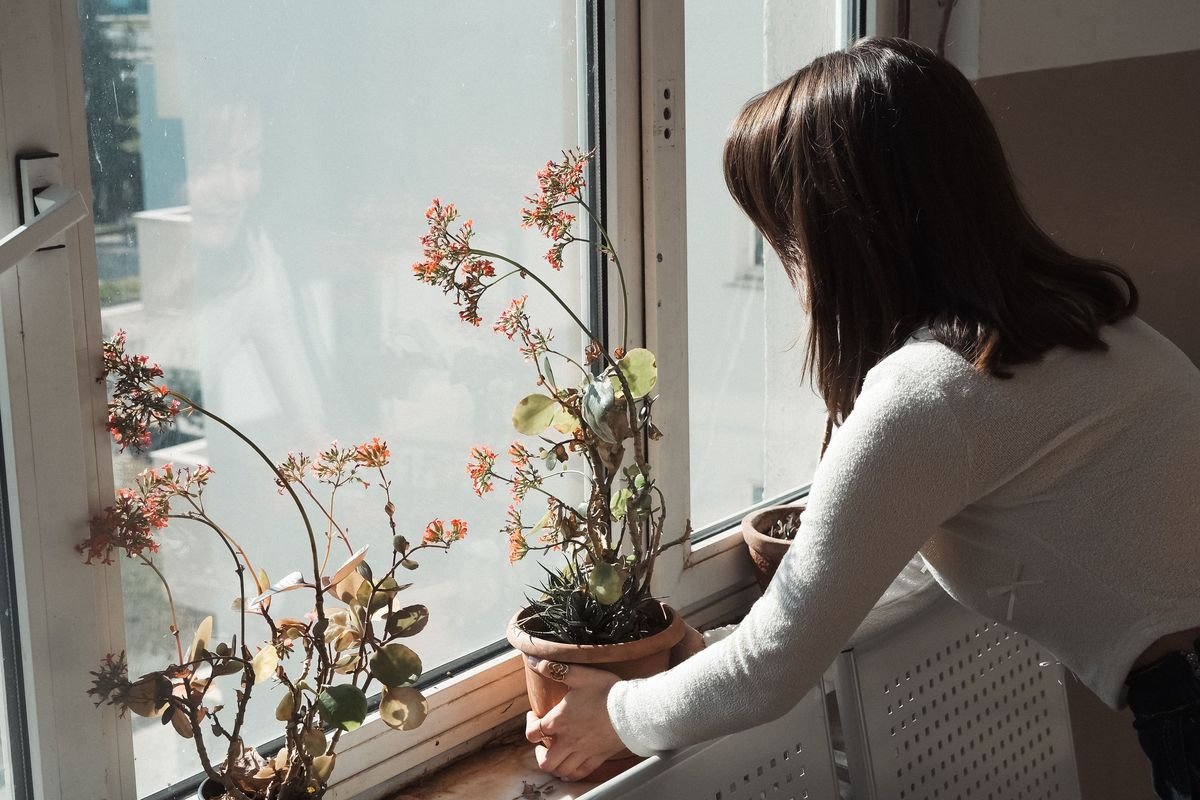 Why Your Kalanchoe Flowers Are Dying and How to Fix Them